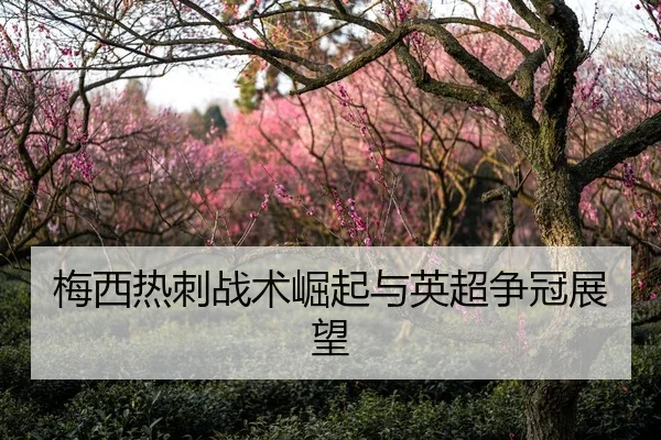 梅西热刺战术崛起与英超争冠展望 | Lesi