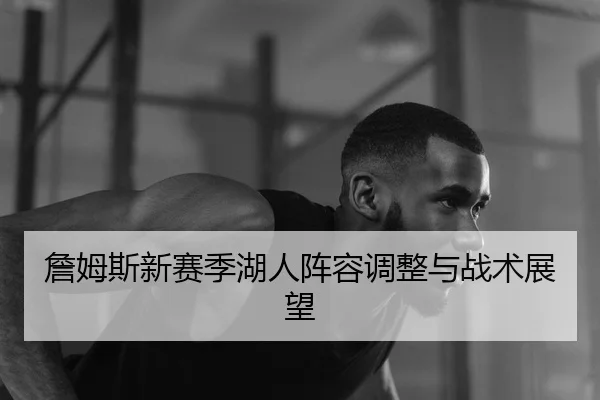 詹姆斯新赛季湖人阵容调整与战术展望（Lesi）