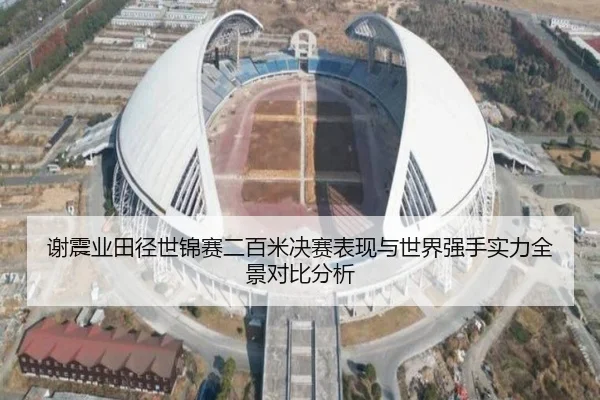 谢震业田径世锦赛二百米决赛表现与世界强手实力全景对比分析